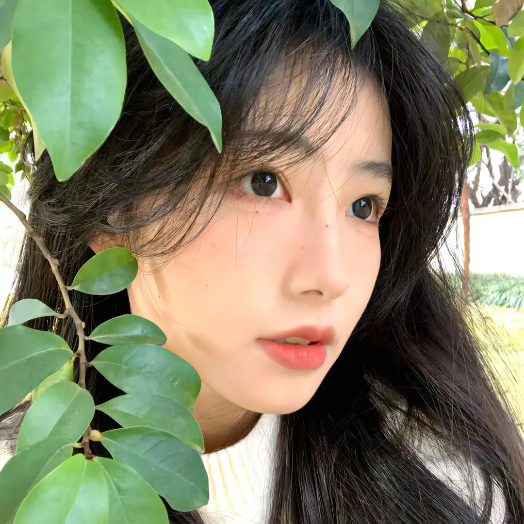 暴力云与送子鹳